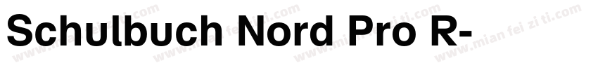 Schulbuch Nord Pro R字体转换